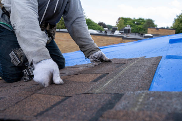 Best Roof Gutter Cleaning  in Landen, OH